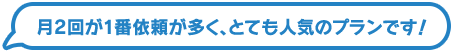 月2回が1番依頼が多く、とても人気のプランです！